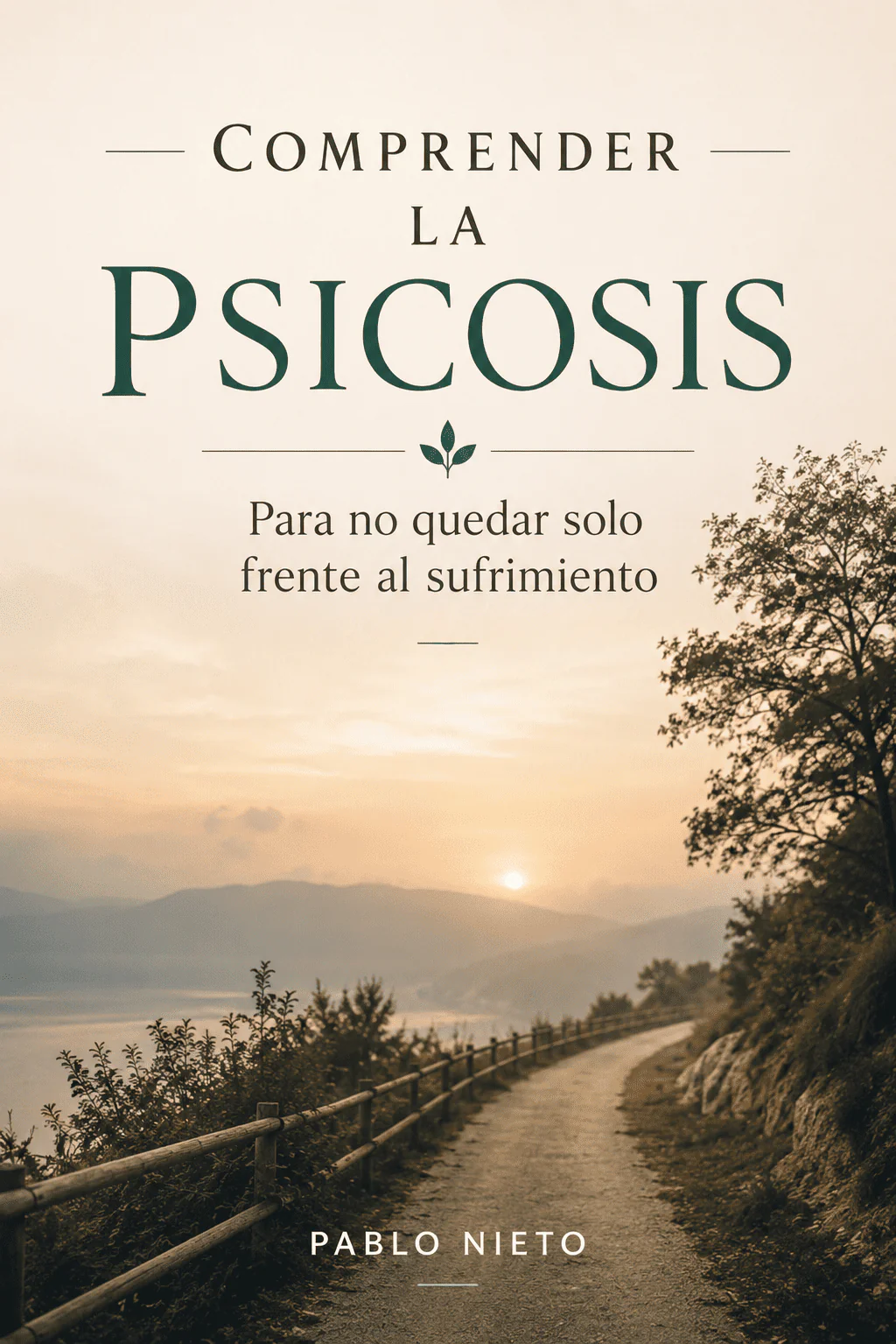 Portada de Comprender la Psicosis